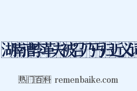湖南漕李革夫被召乃丐归近义词是什么意思的图片